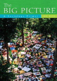 The Big Picture : A Sosiology Primer
