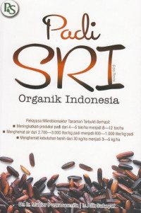 Padi sri organik indonesia.