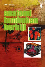 Anatomi Tumbuhan Berbiji